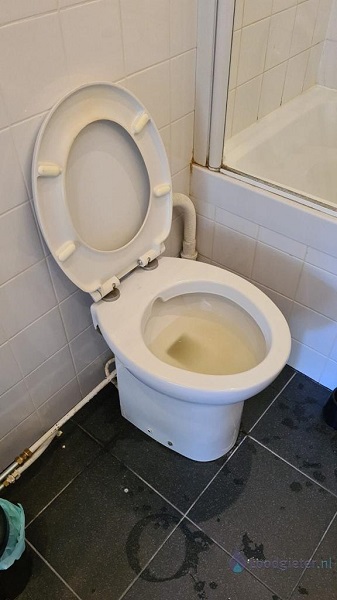  verstopping toilet Lekkerkerk